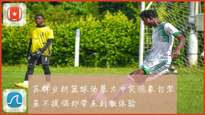 苏群分析篮球场暴力冲突现象打架虽不提倡却带来刺激体验