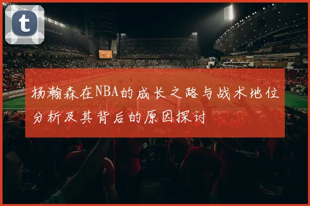 杨瀚森在NBA的成长之路与战术地位分析及其背后的原因探讨