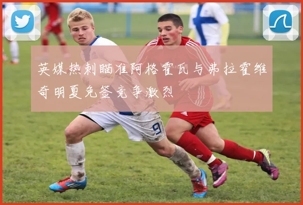 英媒热刺瞄准阿格霍瓦与弗拉霍维奇明夏免签竞争激烈