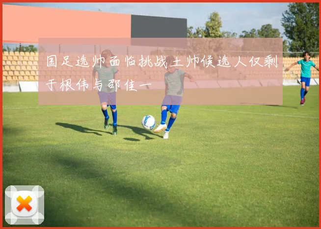 国足选帅面临挑战土帅候选人仅剩于根伟与邵佳一