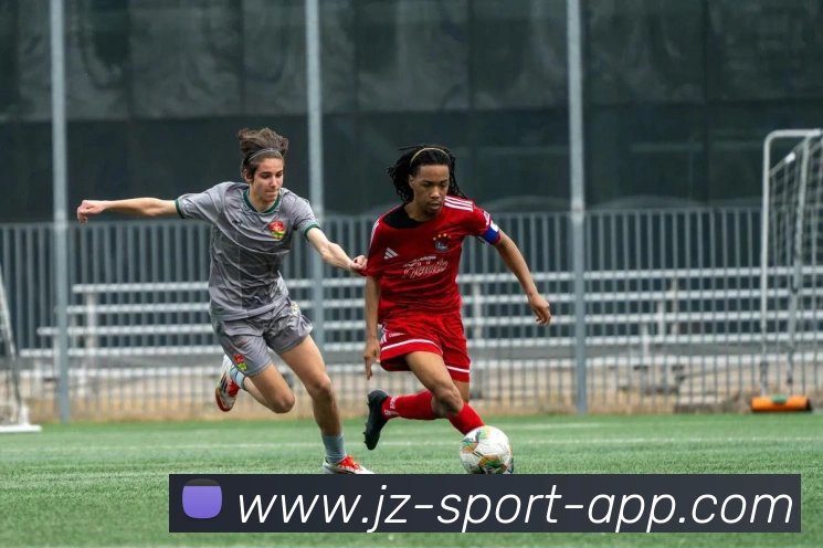 九州体育平台生态图